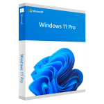 Windows 11 Professional